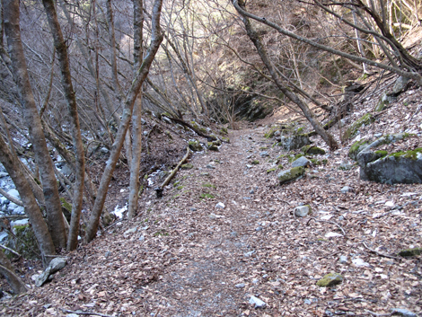 20160218hike (609)
